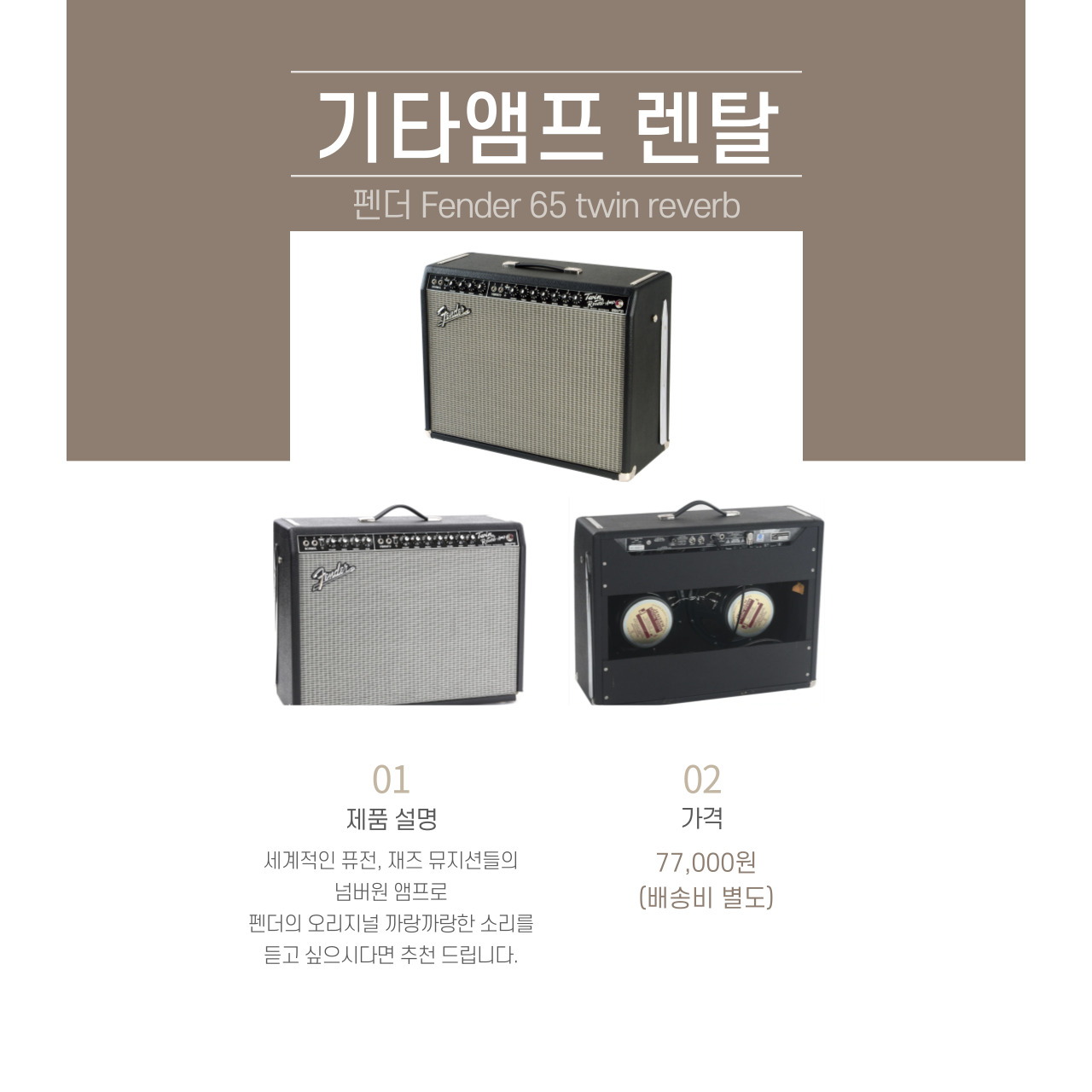 펜더 65 트윈리버브